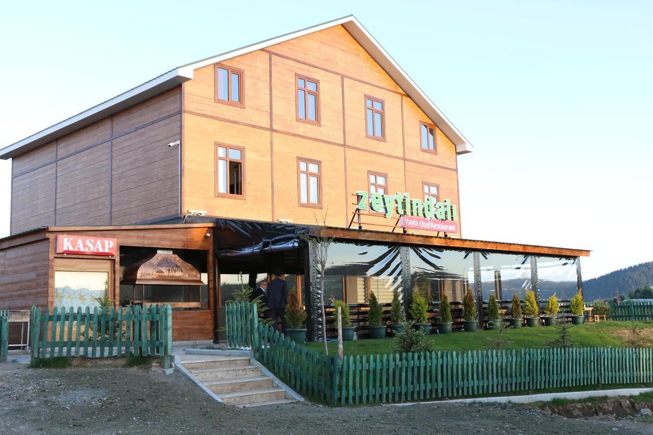 Zeytindali Yayla Hotel Akarsu  Extérieur photo